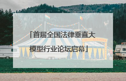 首届全国法律垂直大模型行业论坛启幕